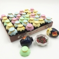 Yummy sweet multi color chocolate bean in small bottle 