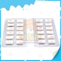 High quality 12pcs fruit flavor chewing gum 