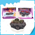 Good Taste Halal High Quality Dried Sour Plum Black Plum 