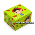 Fresh 5pcs watermelon flavor chewing gum 