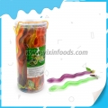 Cartoon shape Snake jelly in jar 