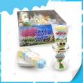 Fruit sweet soft candy flower shape marshmallow 