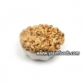 Original Oatmeal Biscuit 