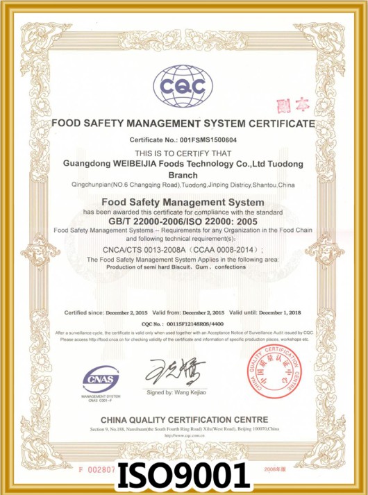 ISO 9001